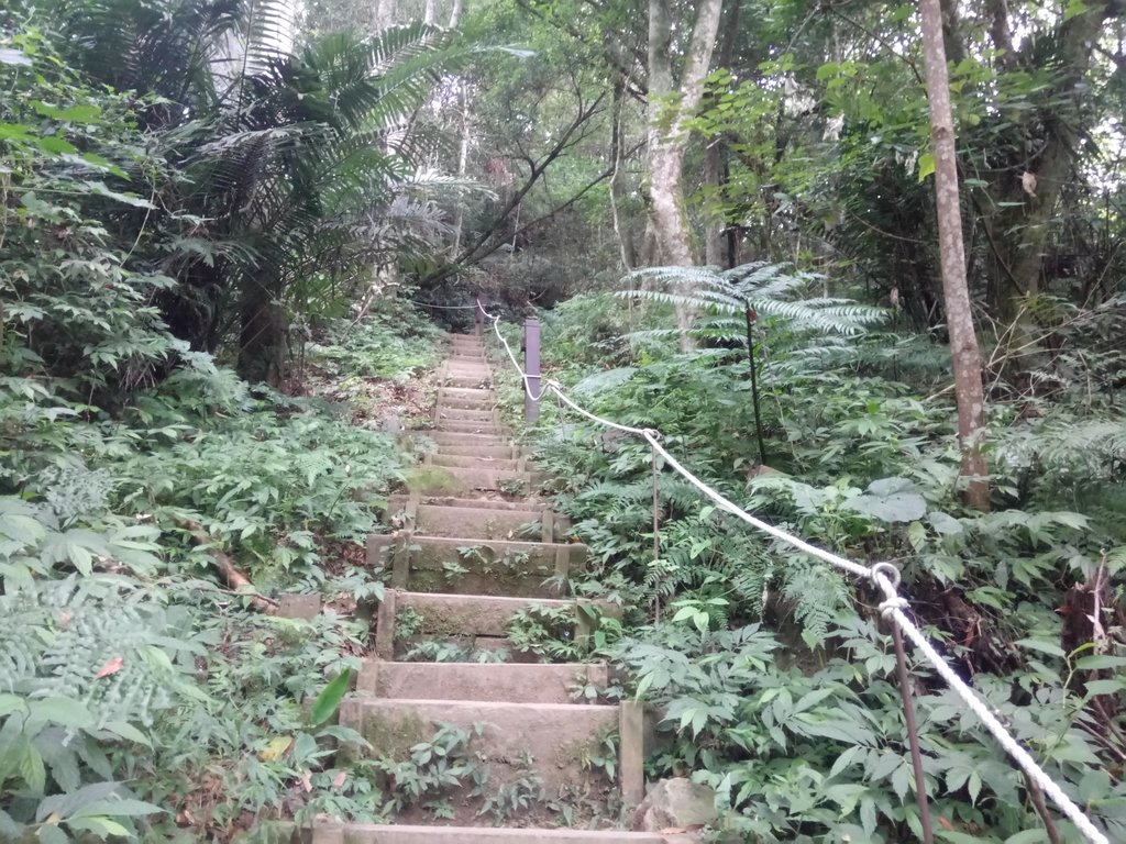 DSC_1051.JPG - 新竹  五指山登山步道