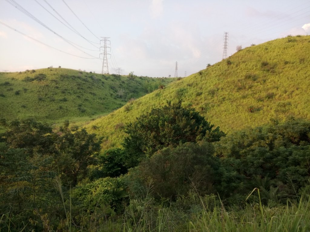 DSC_5852.JPG - 龍井  竹坑南寮登山步道