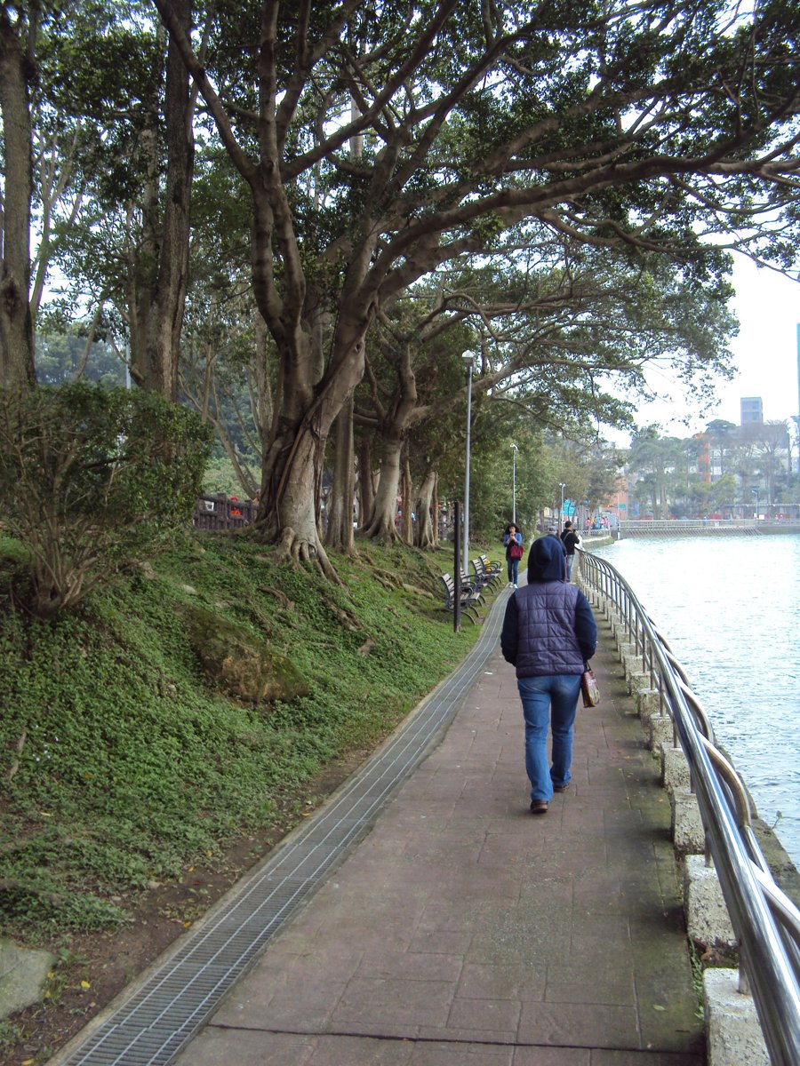 DSC04636.JPG - 內湖  碧湖環湖步道