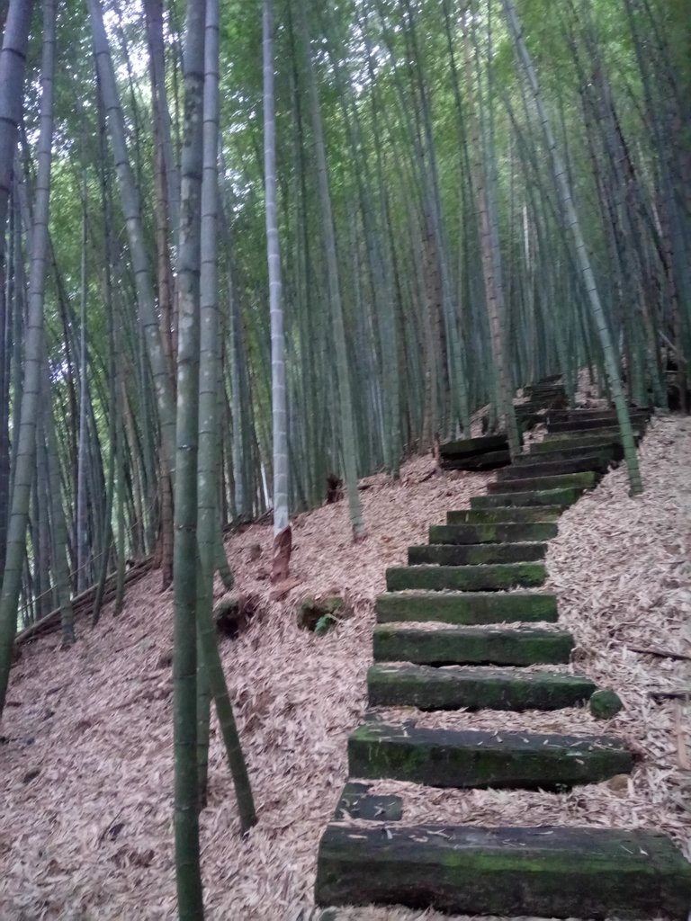 DSC_1297.JPG - 石壁山  嘉南雲峰步道