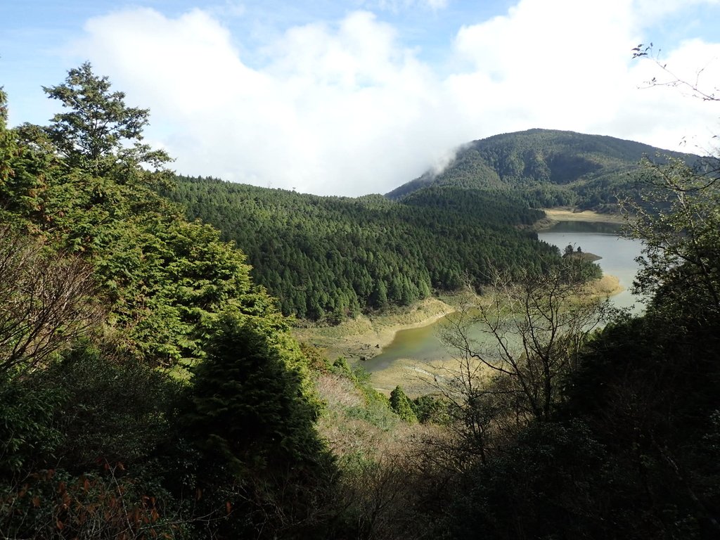 PB265469.JPG - 太平山  翠峰湖環山步道  02