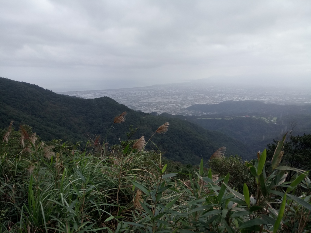 DSC_2805.JPG - 礁溪  聖母登山步道  (抹茶山)