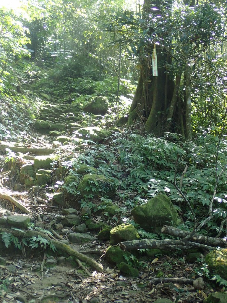 PA064370.JPG - 大湖  馬那邦山  (02)