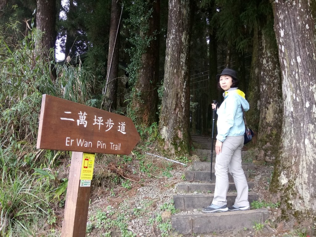 DSC_1546.JPG - 阿里山  二萬坪步道