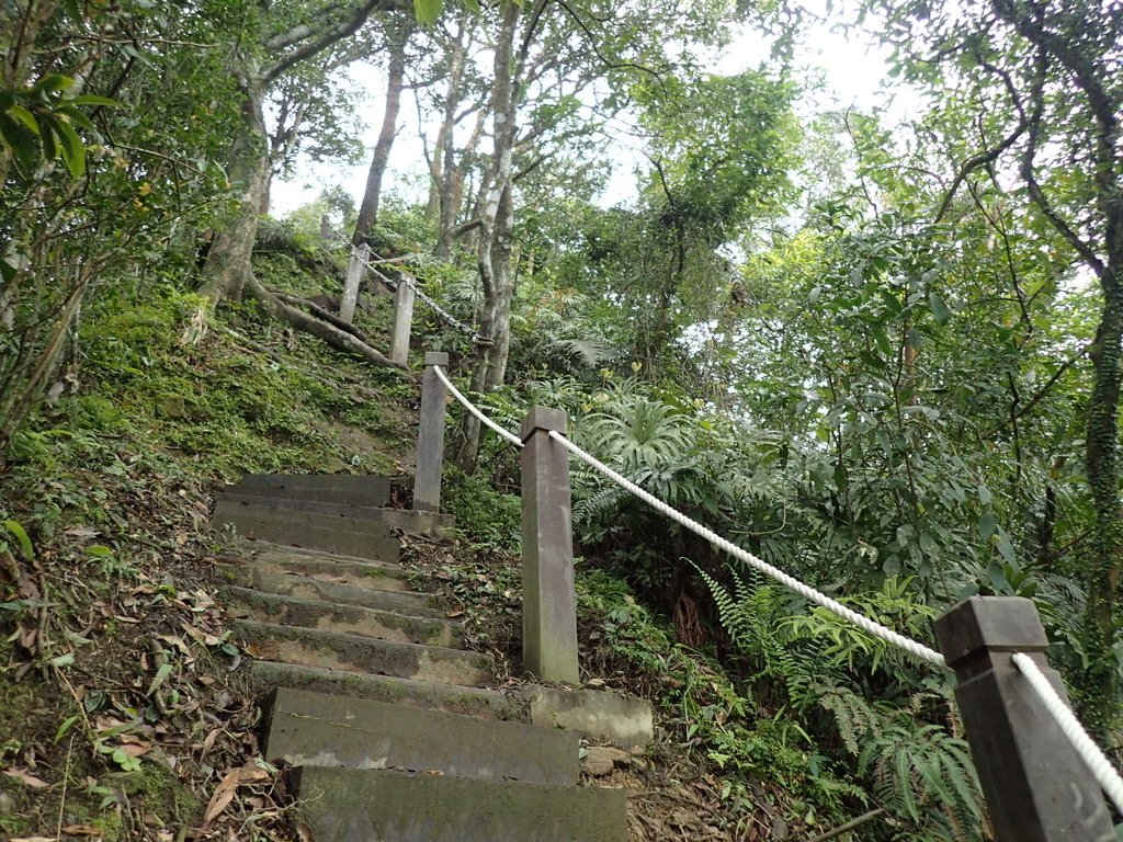 P3170391.JPG - 坪林  鬼子賴尖山