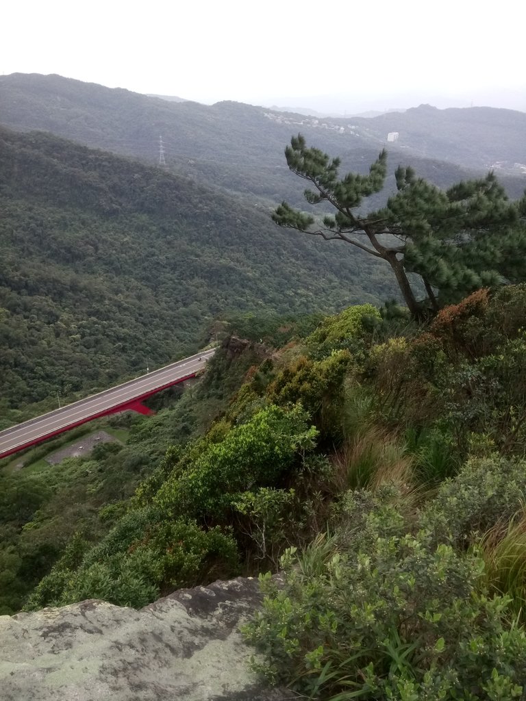 DSC_7037.JPG - 汐止  金面山(金明山)  稜線步道