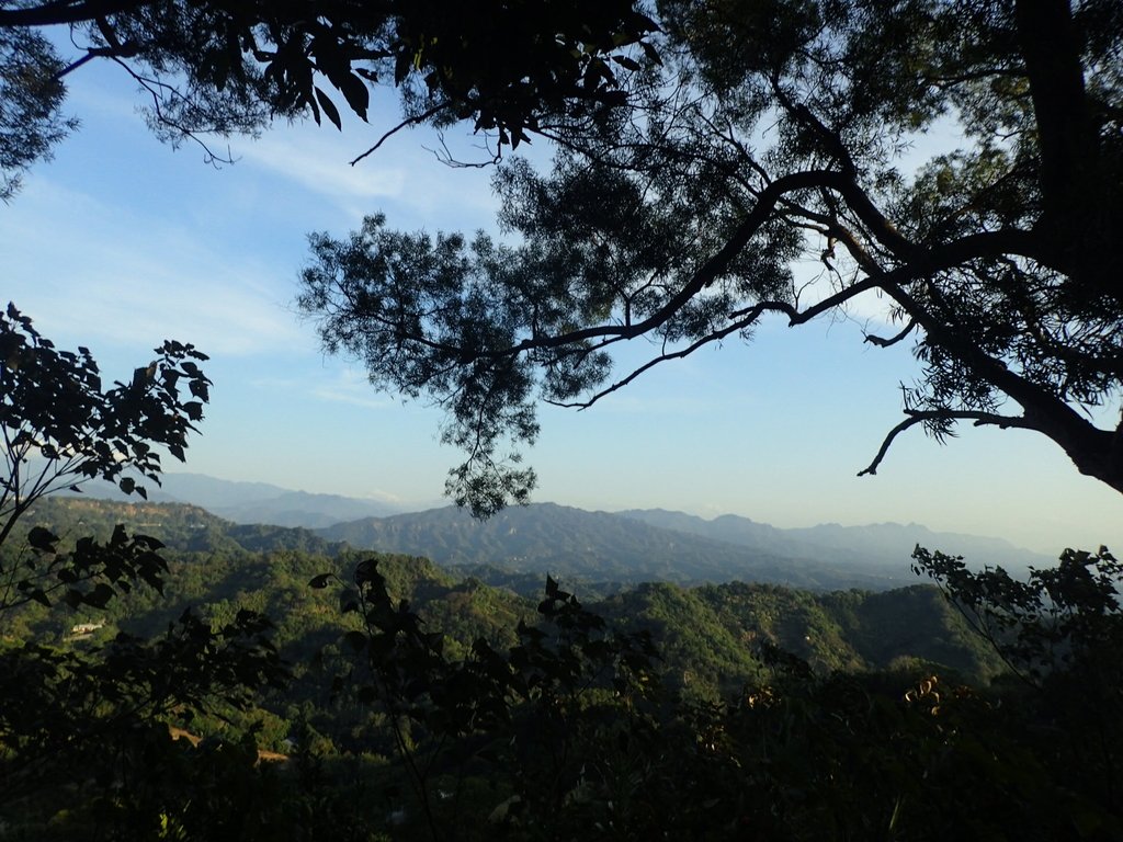 P1123664.JPG - 潭子 聚興山  新田登山步道