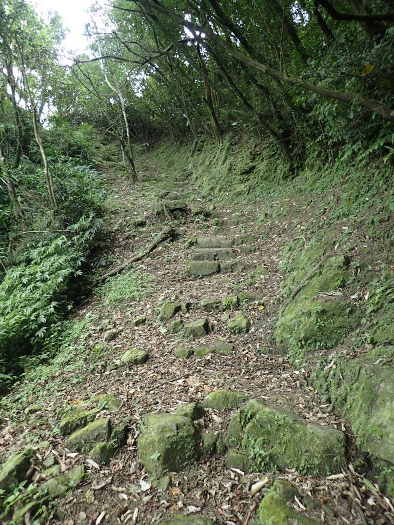 P7062104.JPG - 九份  小粗坑越嶺古道