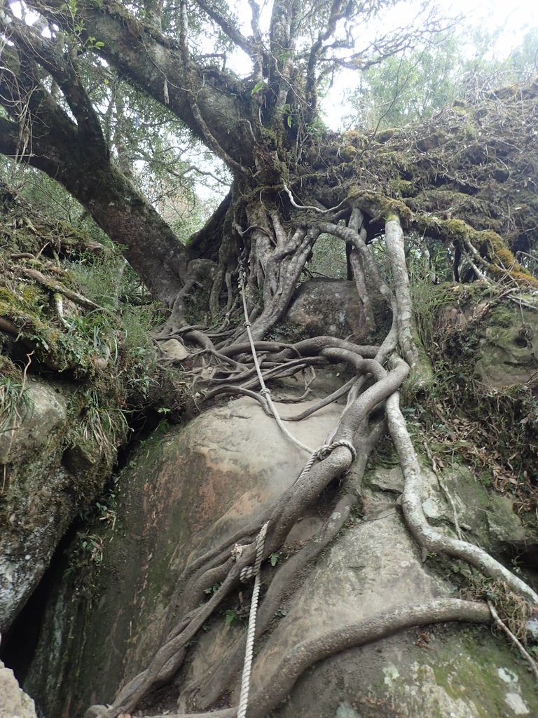 P2034912.JPG - 南庄  加里山