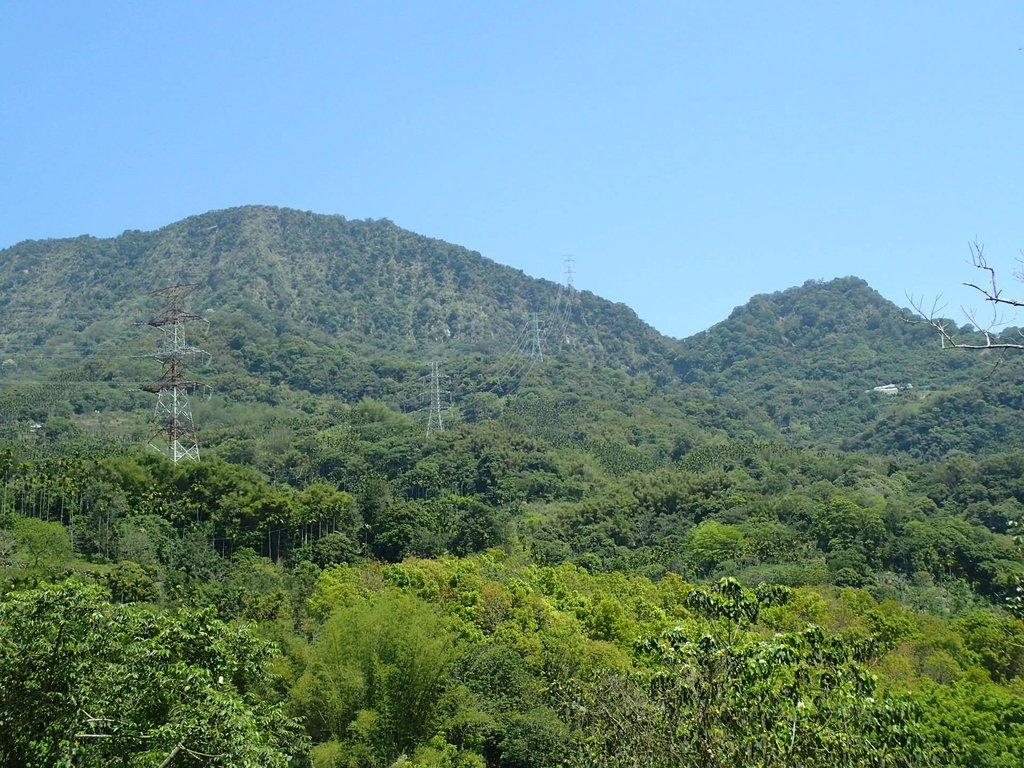 P4161465.JPG - 霧峰  青桐林生態園區