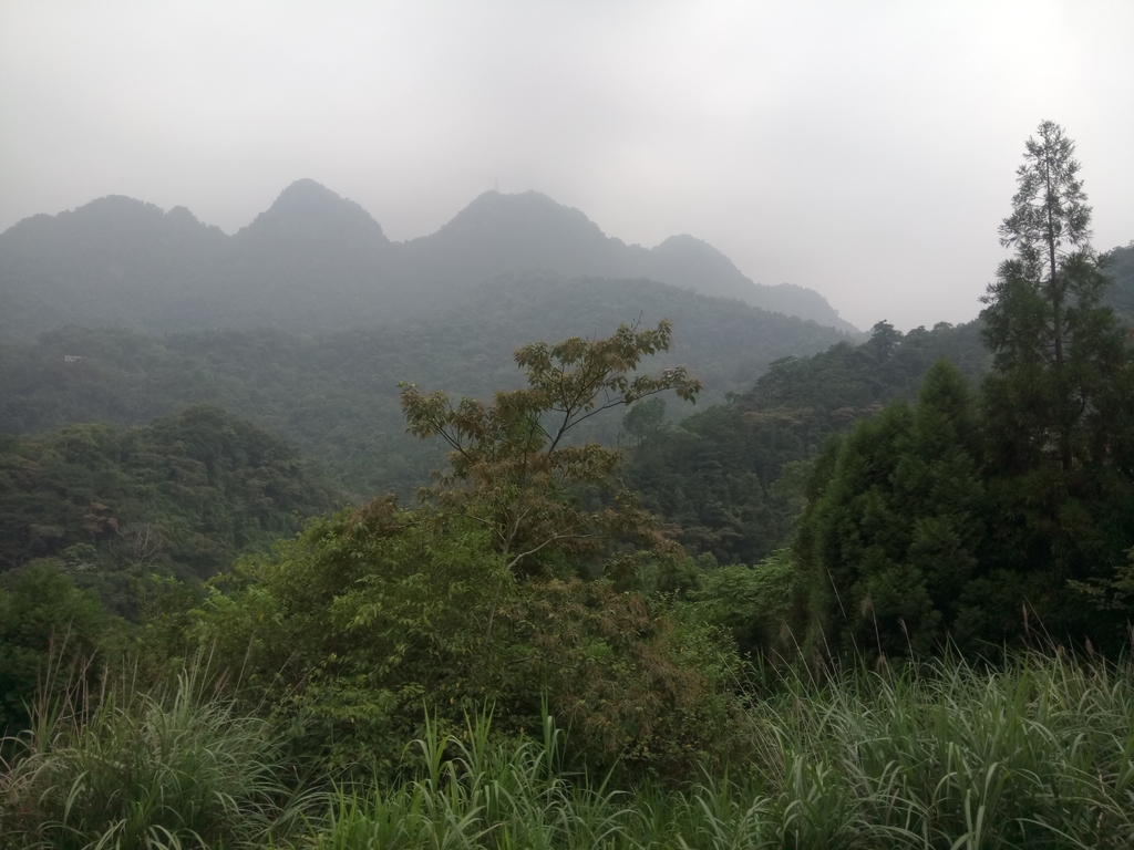 DSC_1077.JPG - 新竹  五指山登山步道