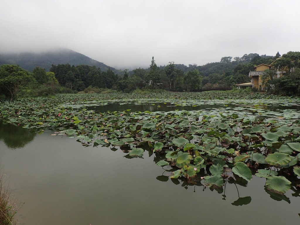 P9250269.JPG - 南庄  向天湖之  環湖步道