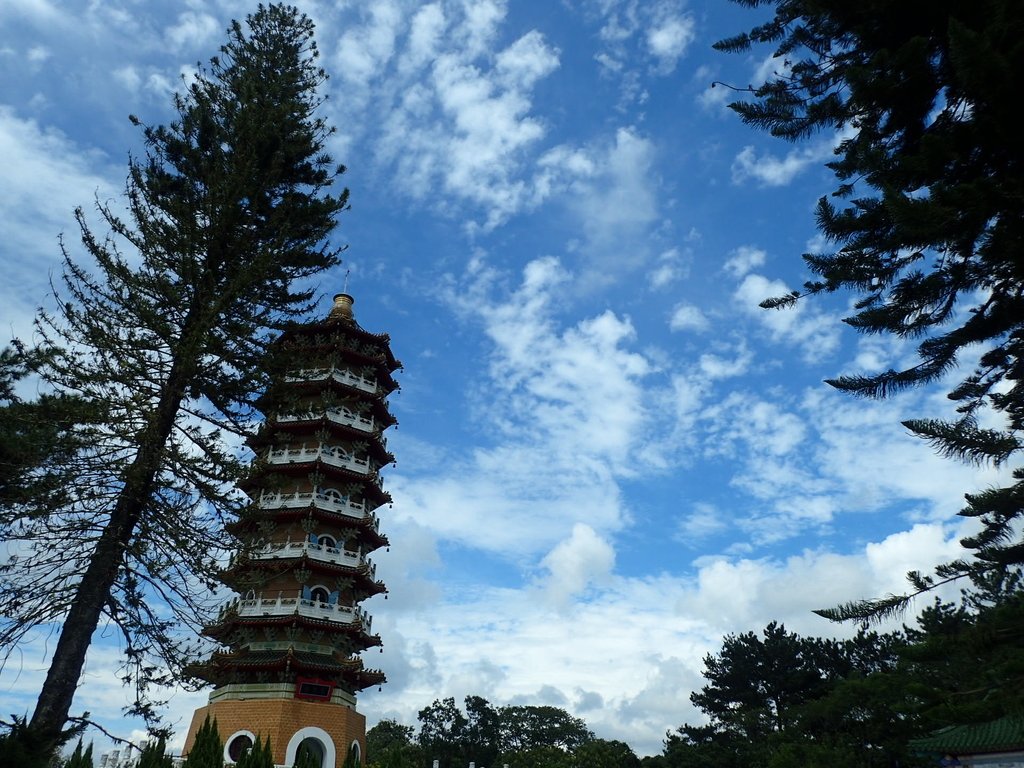 P9017554.JPG - 日月潭之  慈恩塔步道