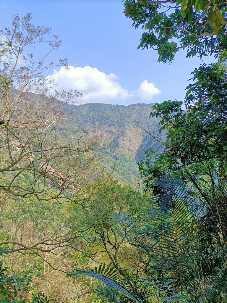 IMG20210130105550.jpg - 竹崎  獨立山登山步道