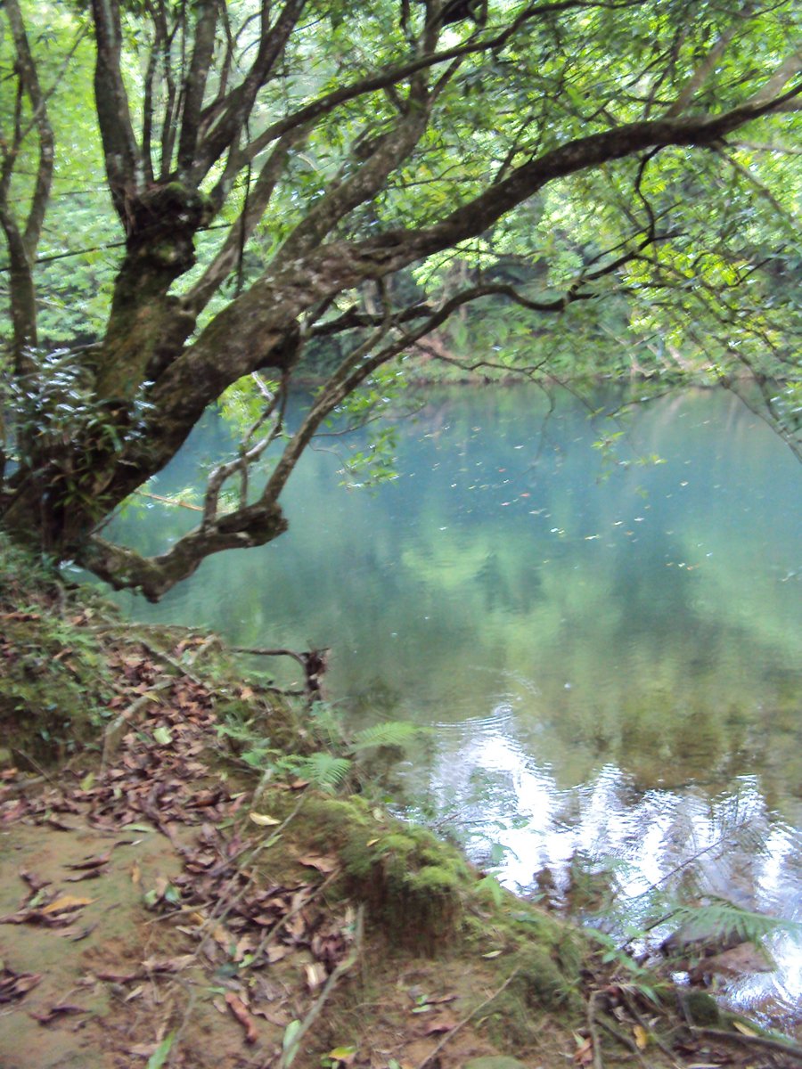 DSC07440.JPG - 雙溪  泰平村  虎豹潭