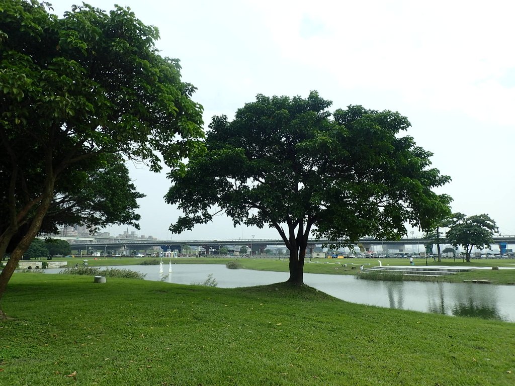 三重  大台北都會公園