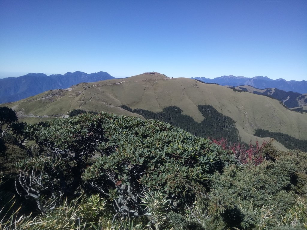 DSC_6685.JPG - 合歡山  東峰