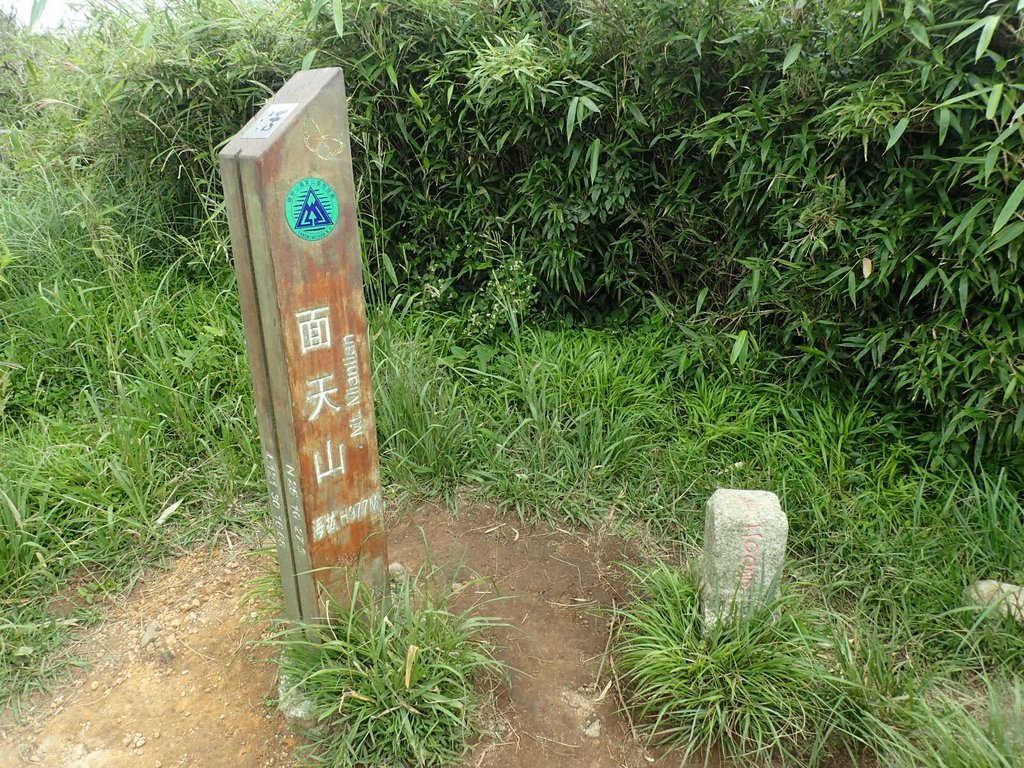 P9238249.JPG - 北投  面天山  向天湖步道