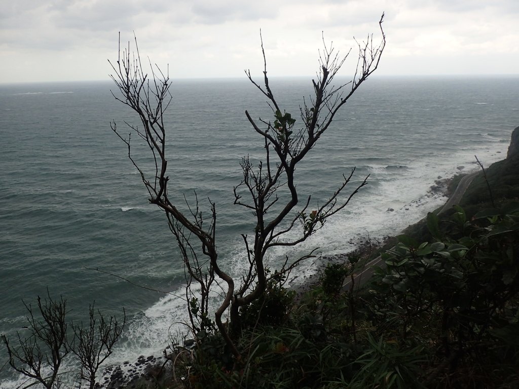 P1264031.JPG - 野柳  北八斗山稜線步道