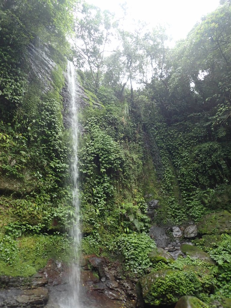 P4051060.JPG - 深坑  炮子崙登山步道