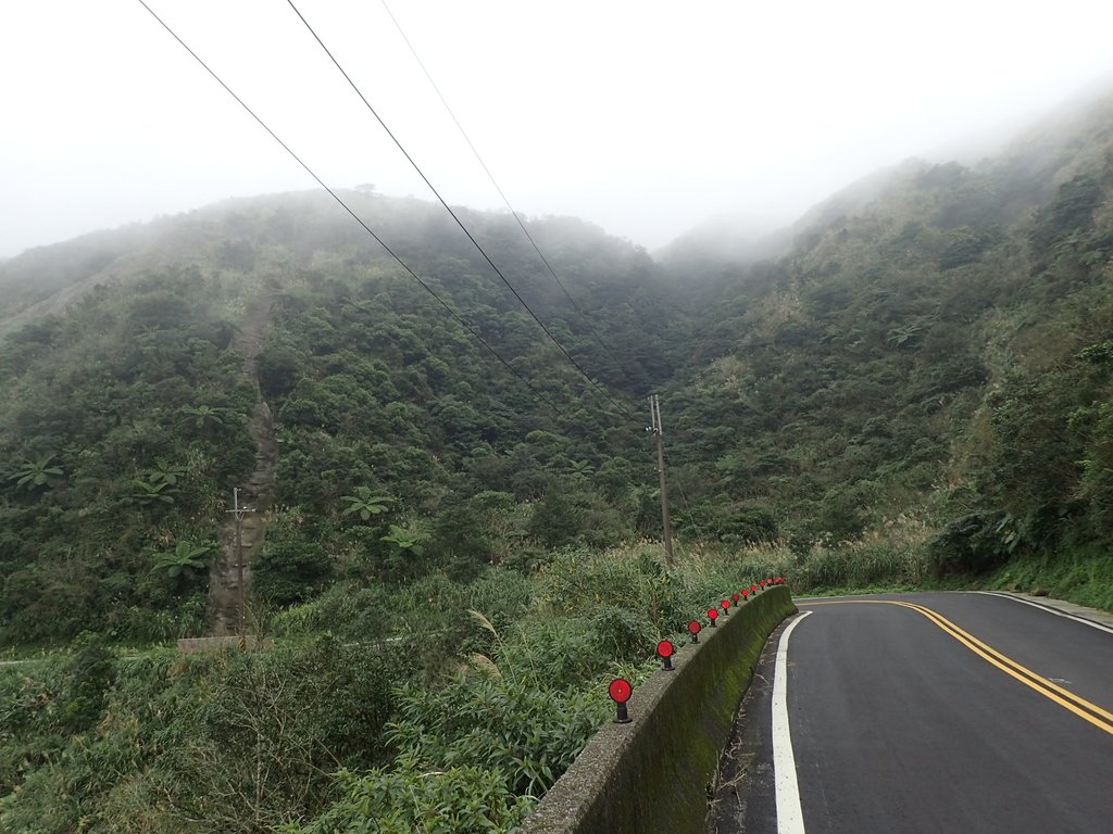 P1203542.JPG - 瑞芳  牡丹山