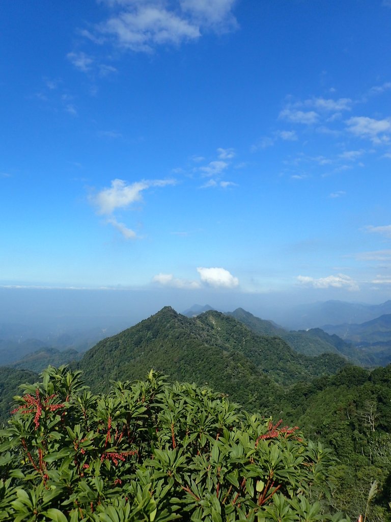 PC010608.JPG - 獅潭  仙山