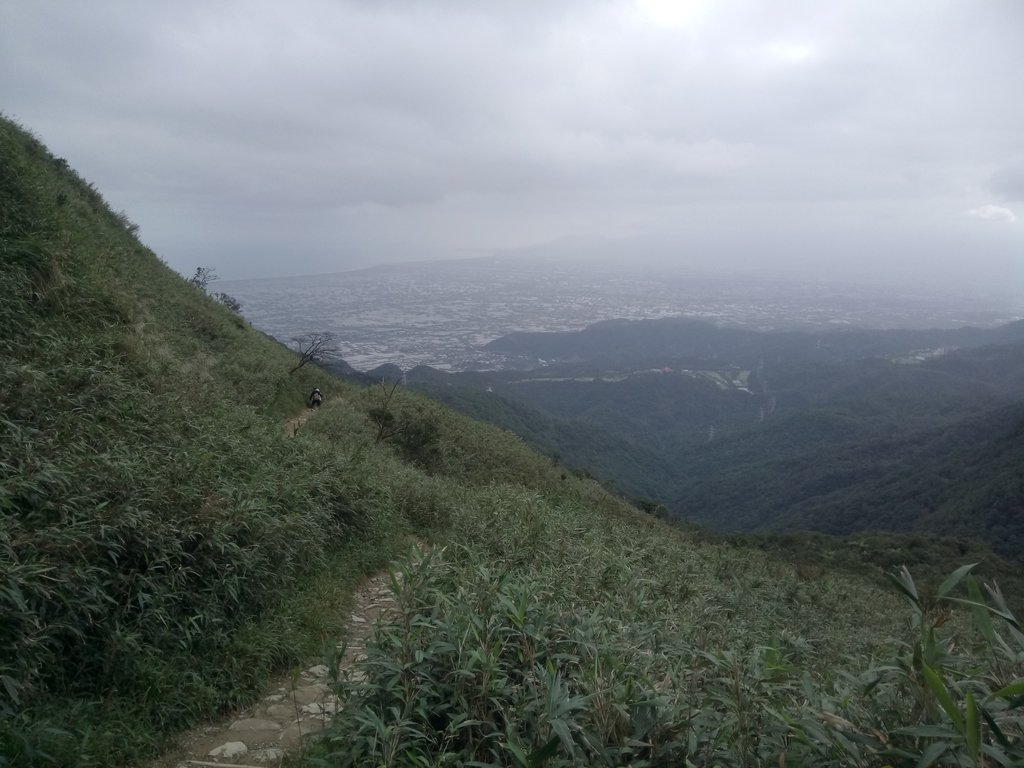 DSC_2807.JPG - 礁溪  聖母登山步道  (抹茶山)