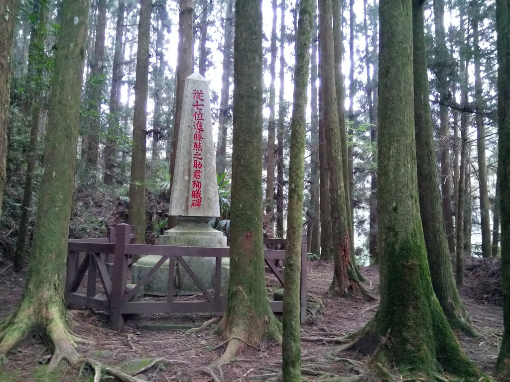 DSC_1549.JPG - 阿里山  二萬坪步道