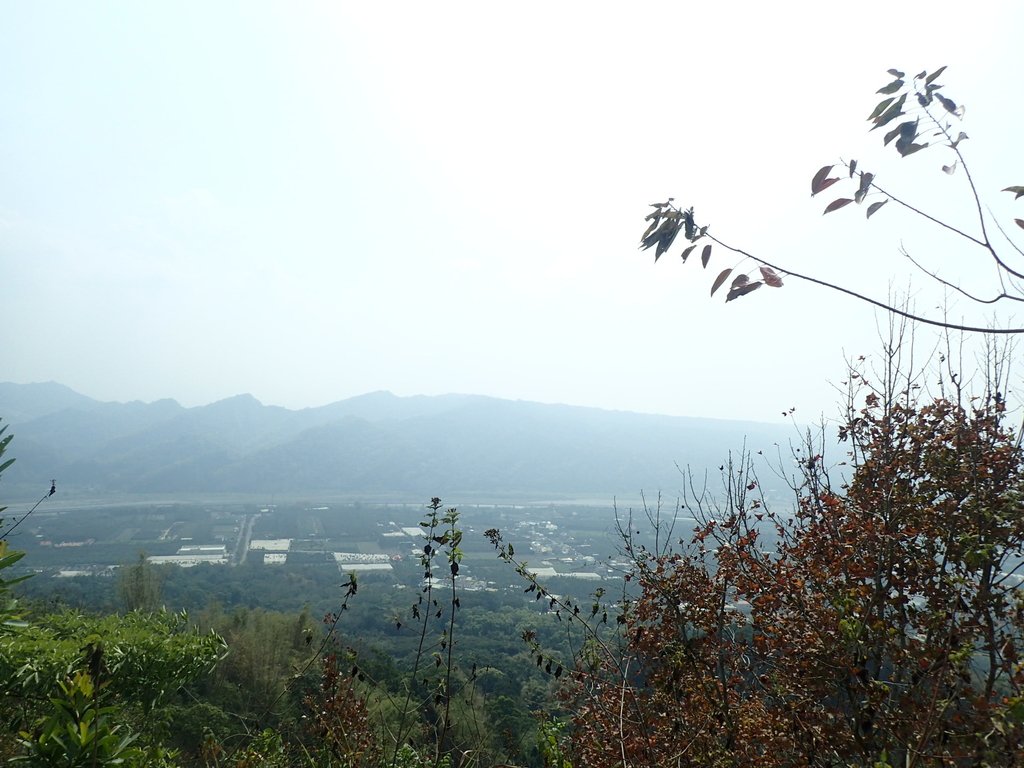 P3016065.JPG - 草屯平林  九九峰森林步道