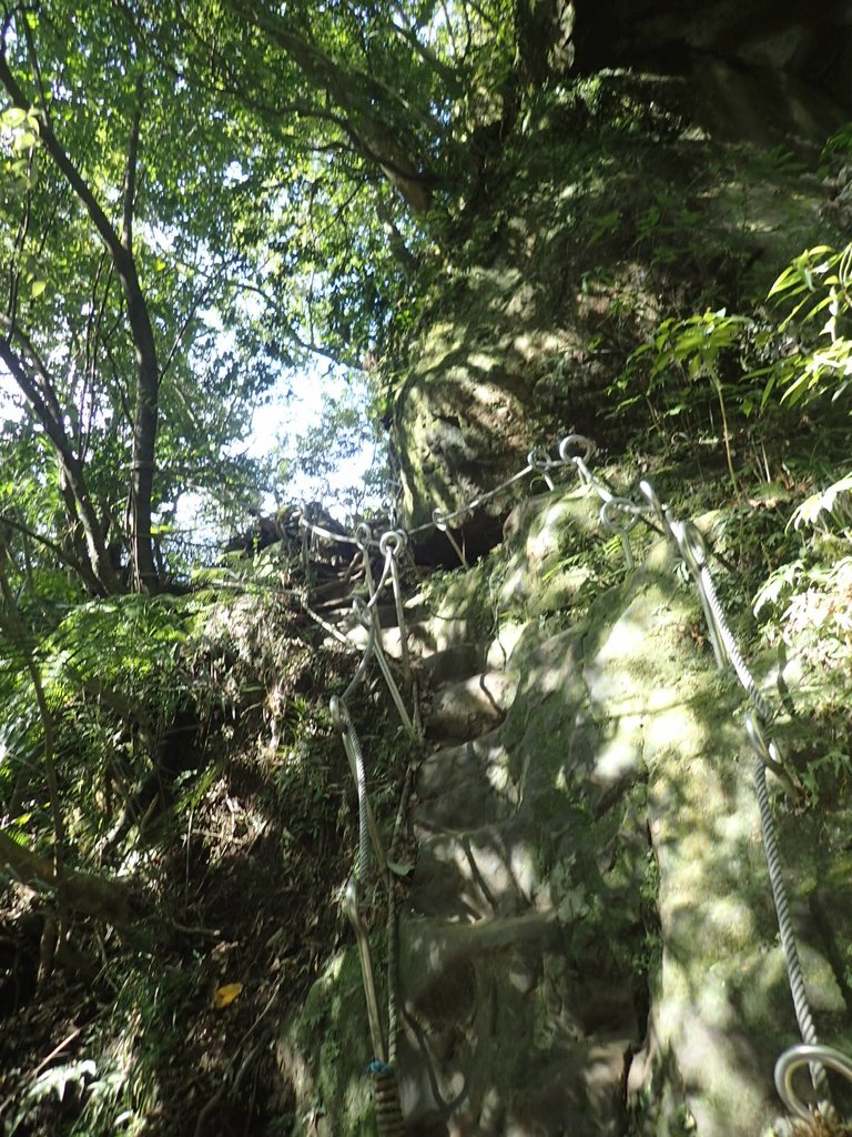 P1224272.JPG - 再訪---  平溪  孝子山登山步道