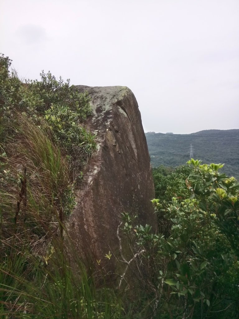 DSC_7038.JPG - 汐止  金面山(金明山)  稜線步道