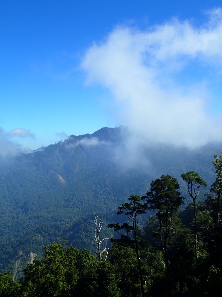 PA185575.JPG - 台中  和平  稍來山