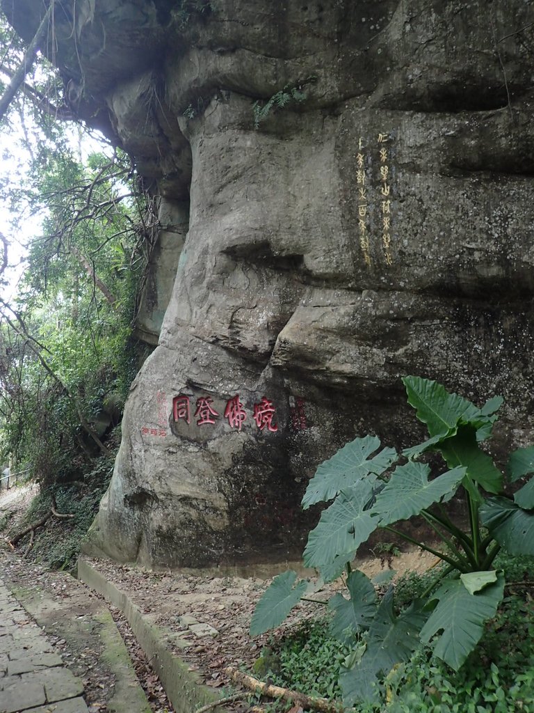 P1294432.JPG - 獅頭山  獅山古道  (01)