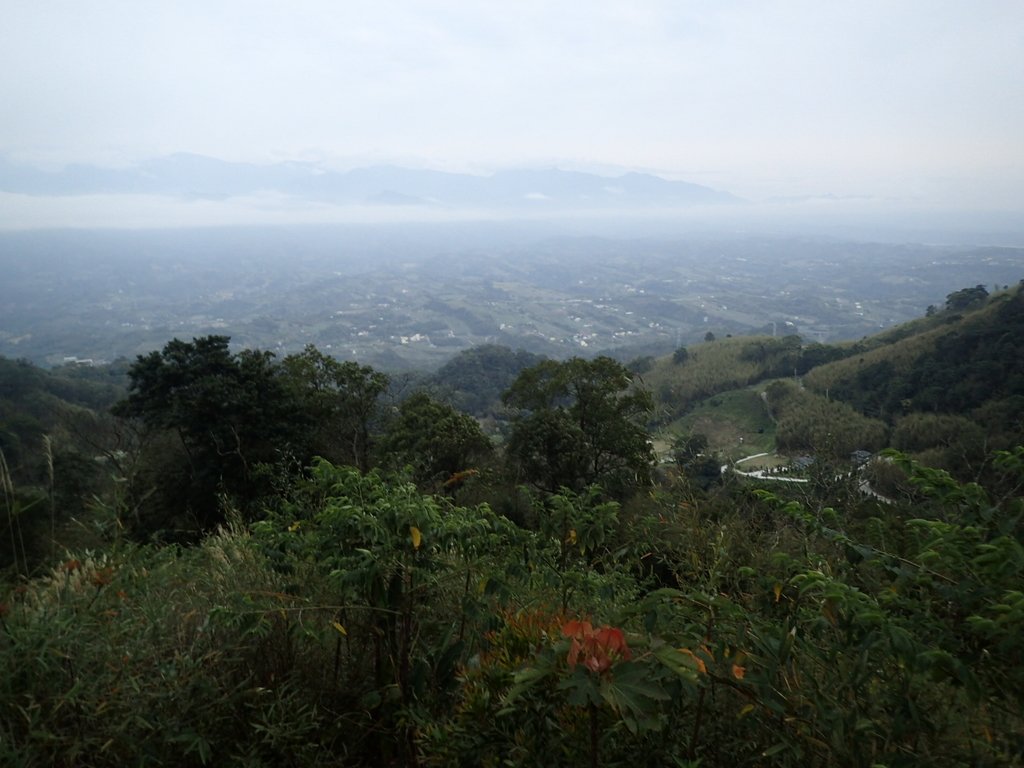 P1294586.JPG - 大湖  關刀山步道  (聖關段)