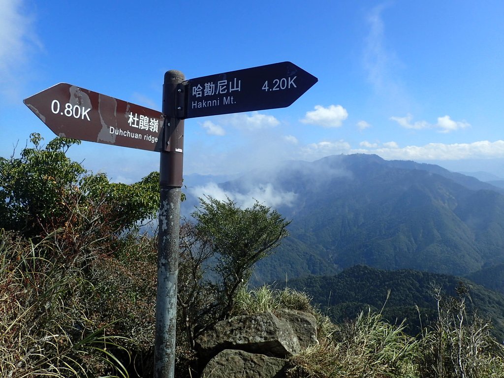 P2034872.JPG - 南庄  加里山