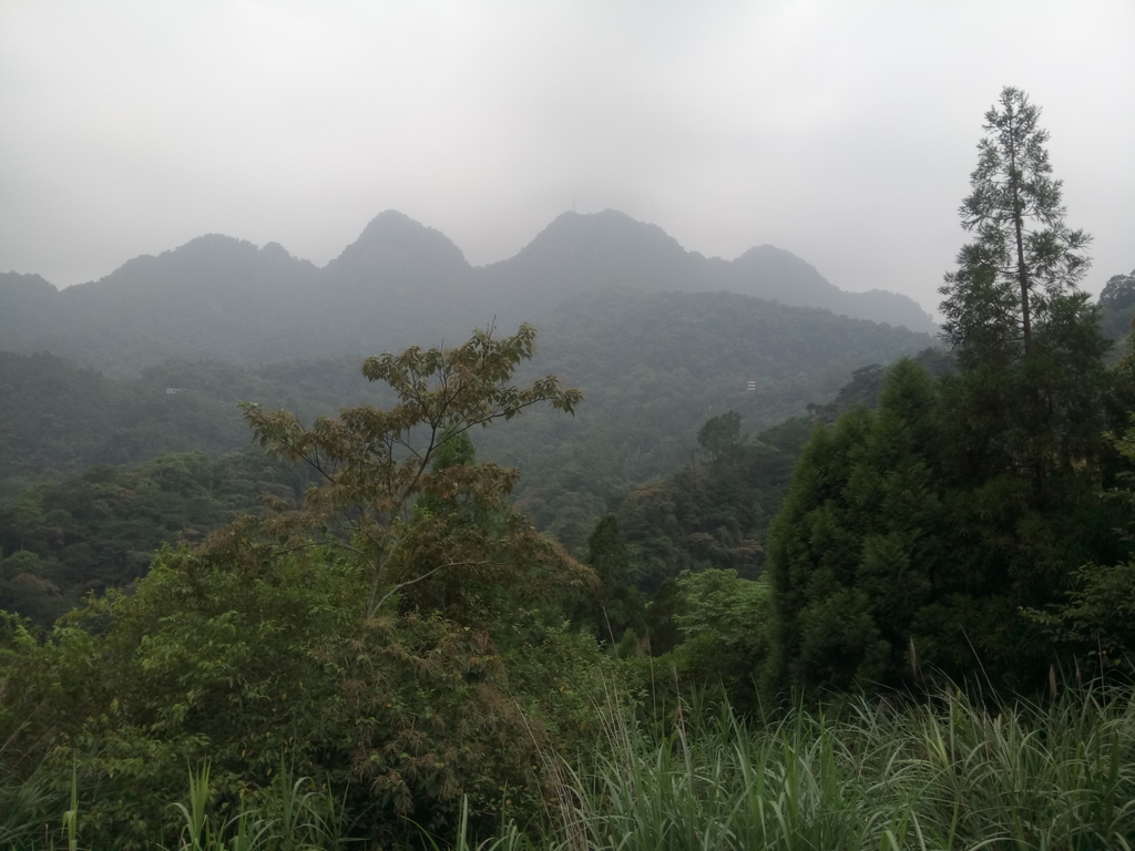 DSC_1080.JPG - 新竹  五指山登山步道