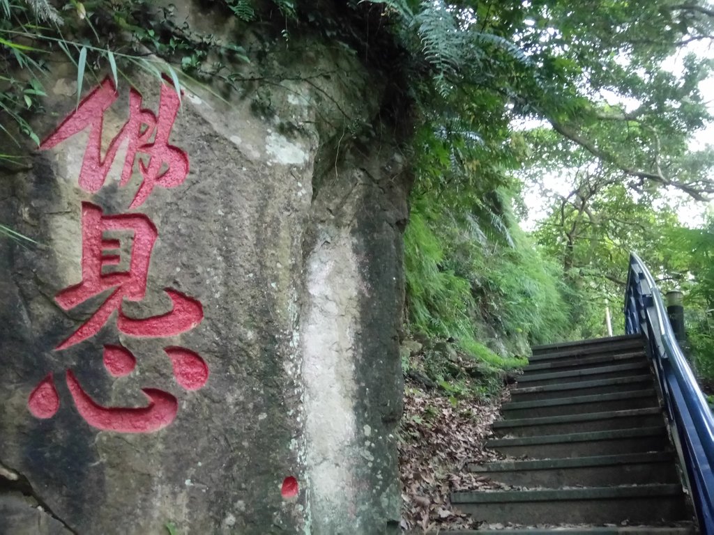 DSC_2069.JPG - 新店  碧潭  和美山登山步道