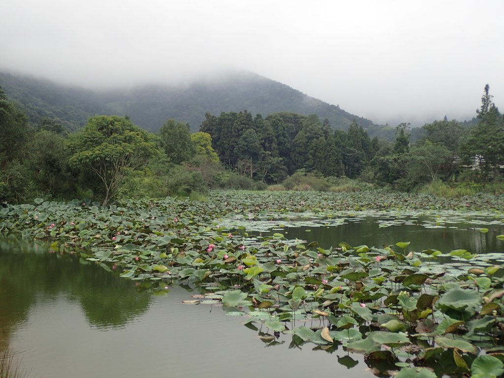 P9250271.JPG - 南庄  向天湖之  環湖步道