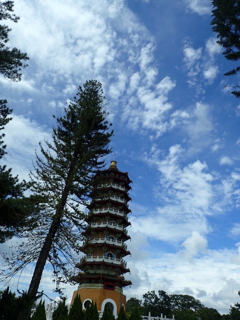 P9017556.JPG - 日月潭之  慈恩塔步道