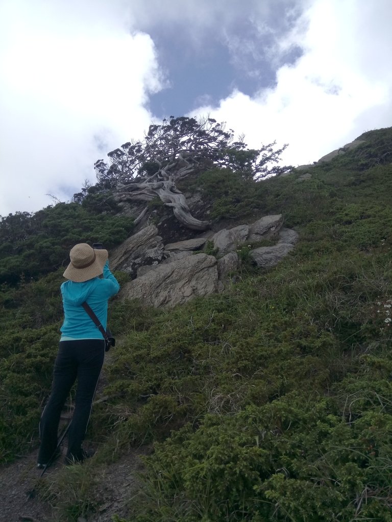 DSC_5429.JPG - 合歡山  北峰之美  (下)