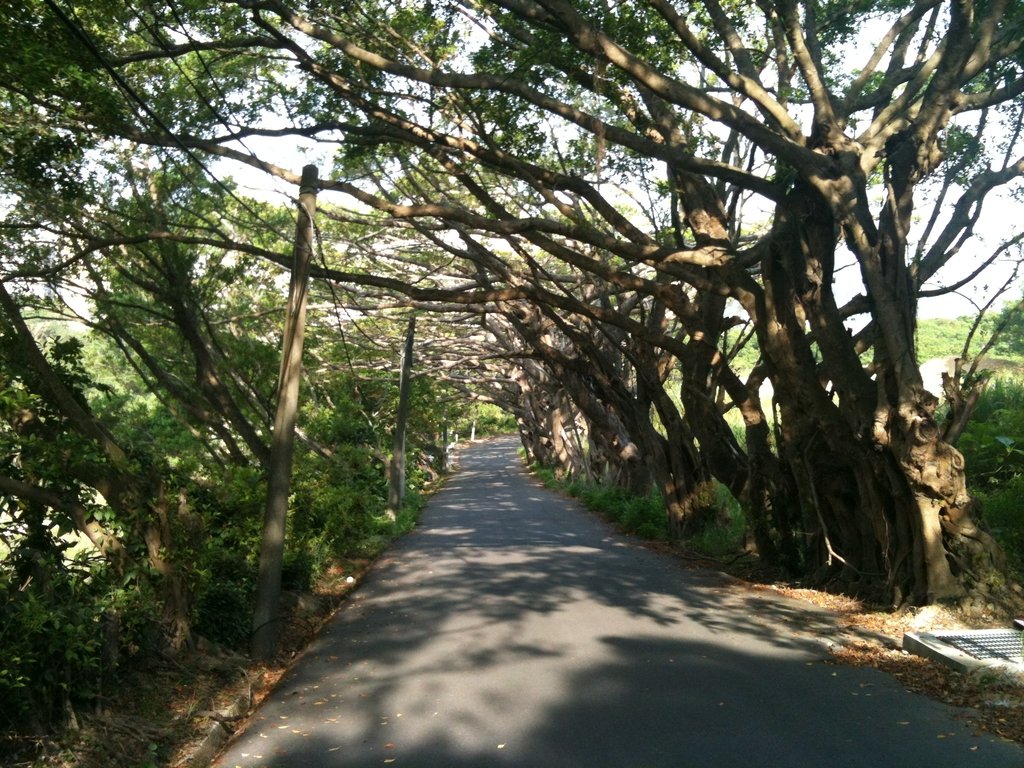 IMG_1468.jpg - 基隆  潮境公園ˊ周邊之  晨遊