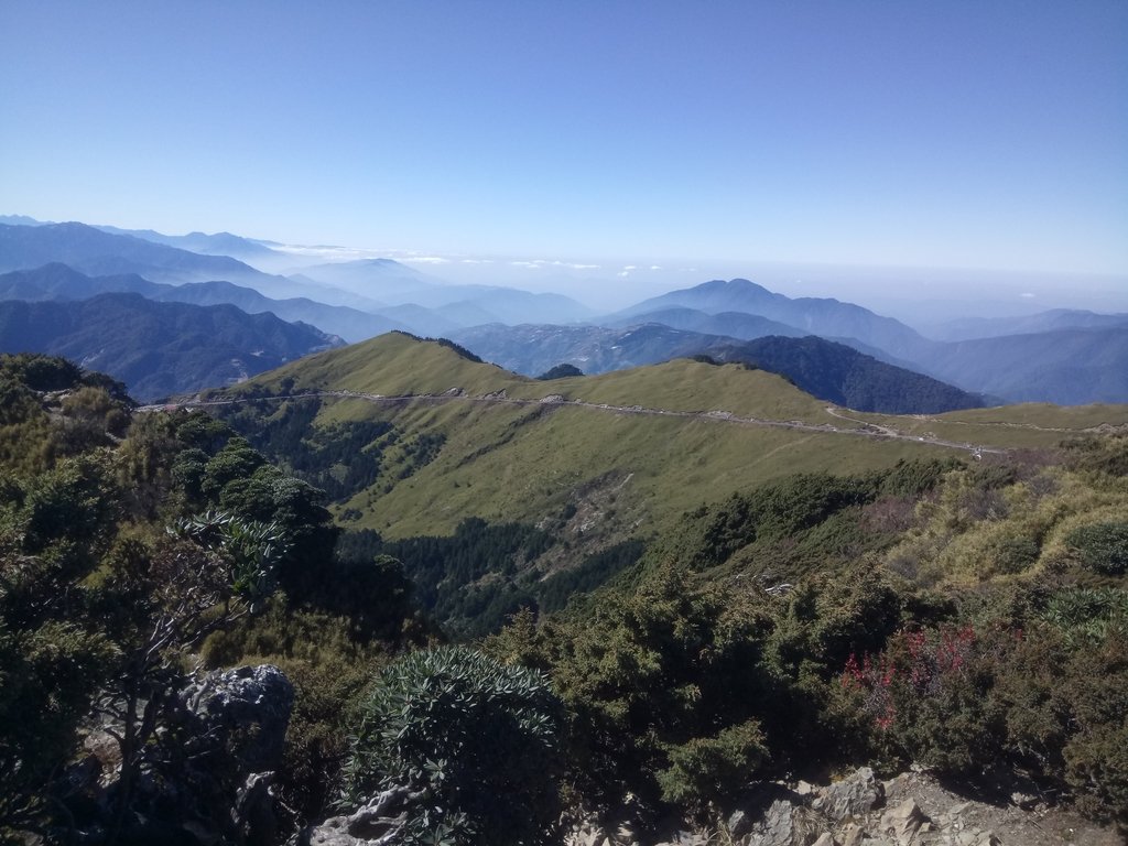 DSC_6690.JPG - 合歡山  東峰