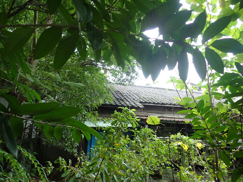 P1051949.JPG - 福州街周邊日式建築群