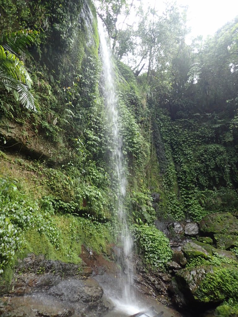 P4051061.JPG - 深坑  炮子崙登山步道