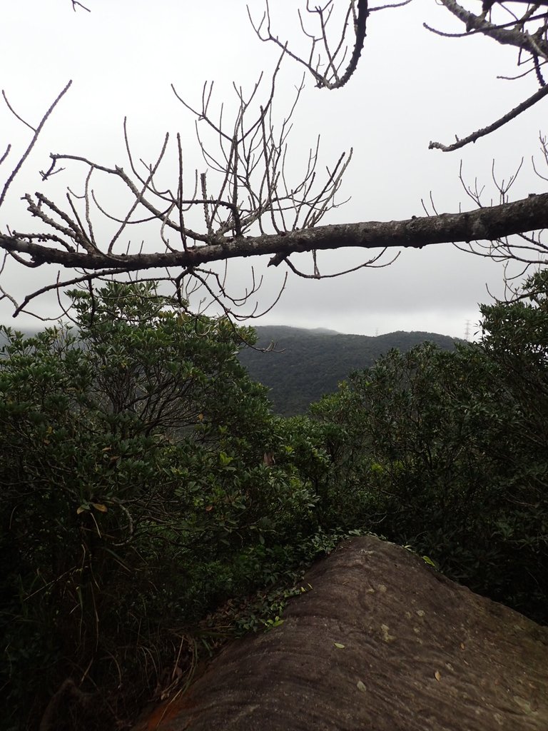 P2288786.JPG - 內湖  大崙尾山