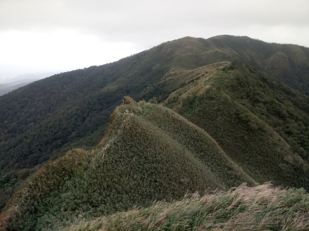 DSC_2817.JPG - 礁溪  聖母登山步道  (抹茶山)