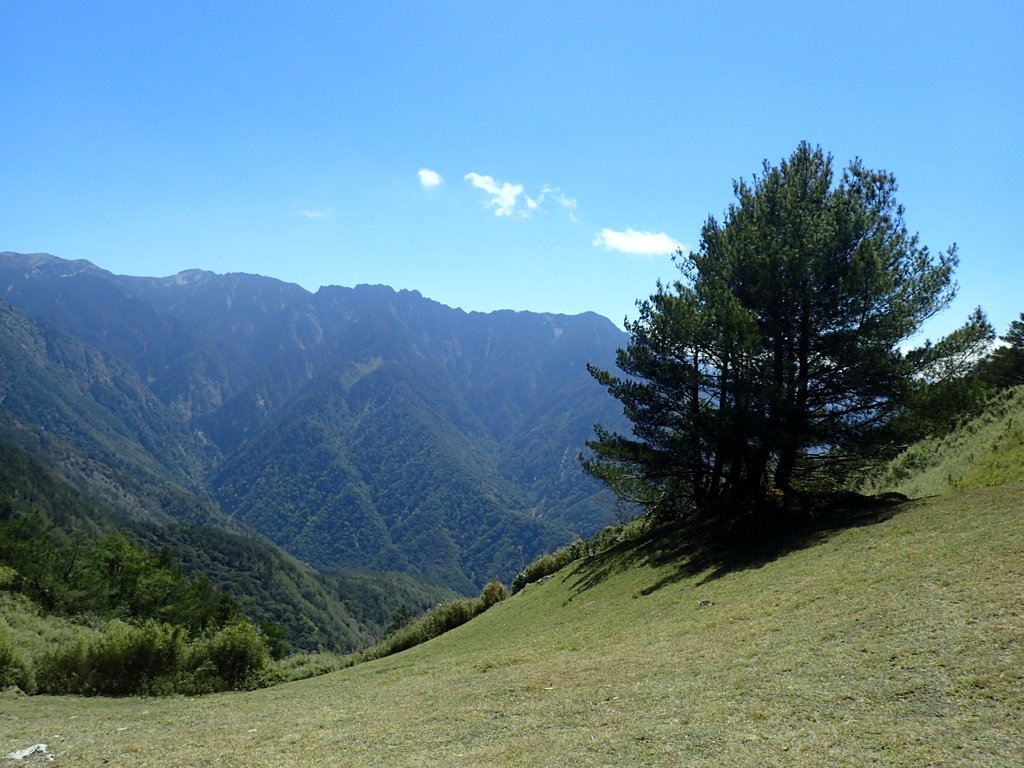 P3268144.JPG - 鹿林山  麟趾山步道  (02)