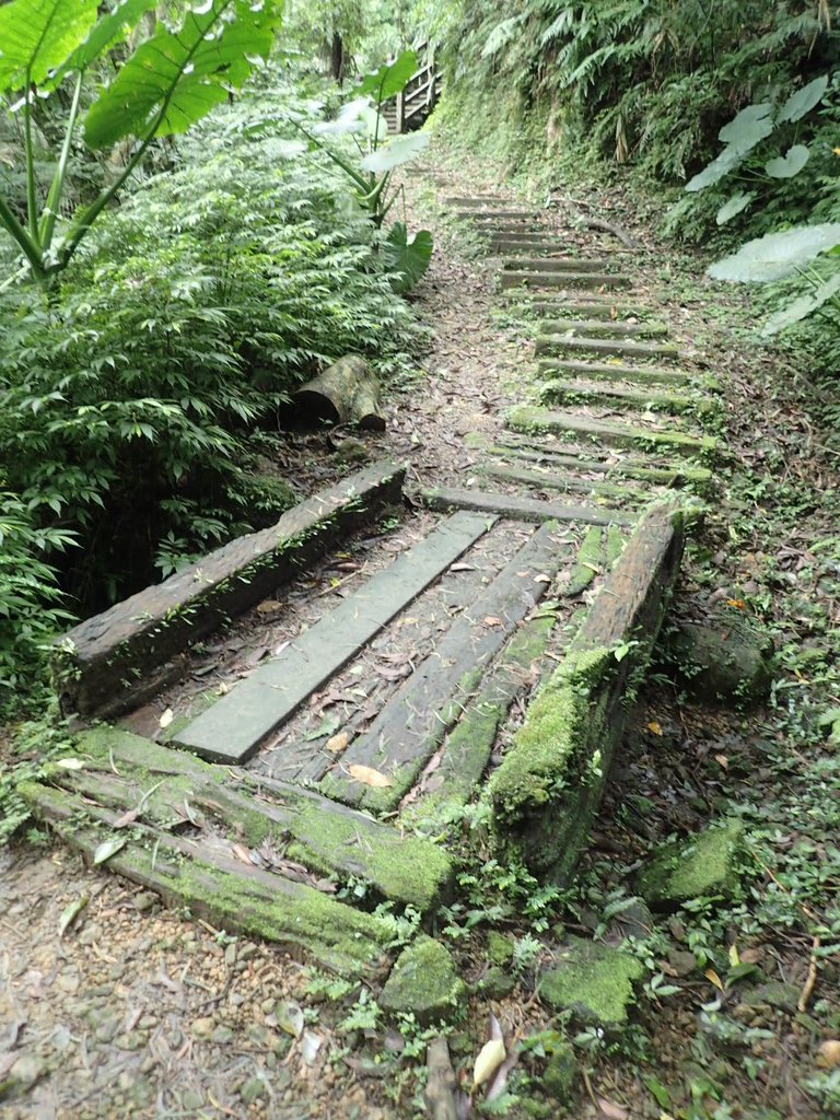 P3018862.JPG - 深坑  土庫岳登山步道  (02)