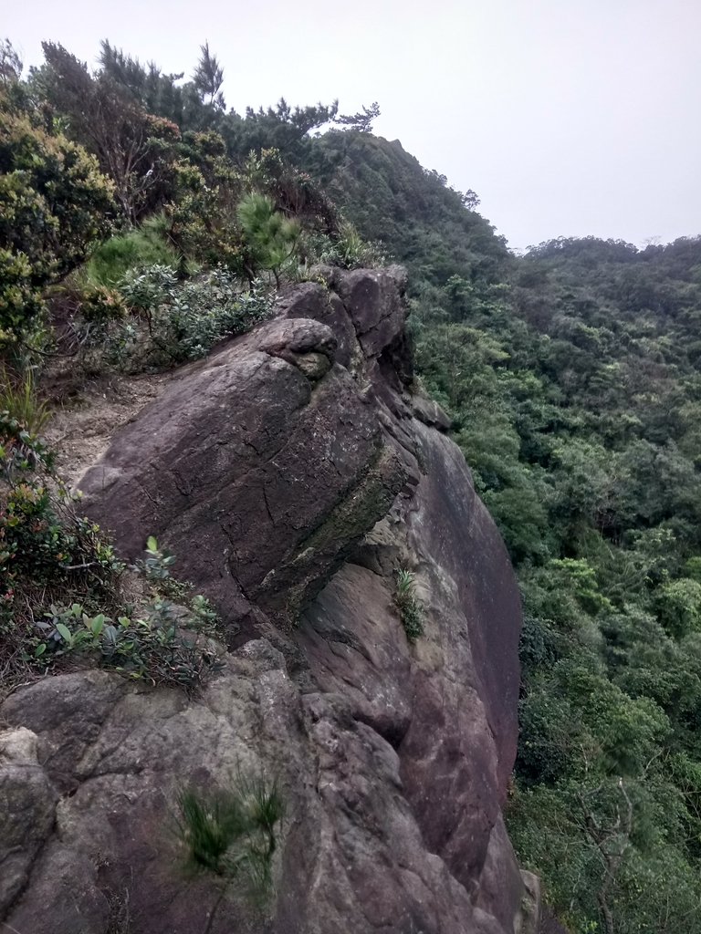 DSC_7044.JPG - 汐止  金面山(金明山)  稜線步道