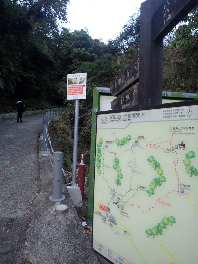 P1123673.JPG - 潭子 聚興山  新田登山步道